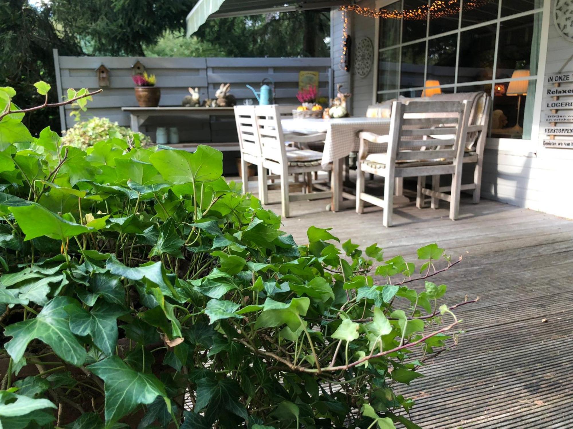 Chalet Relax Zutendaal Dış mekan fotoğraf